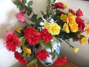 Cristal 1 א-קורוניה